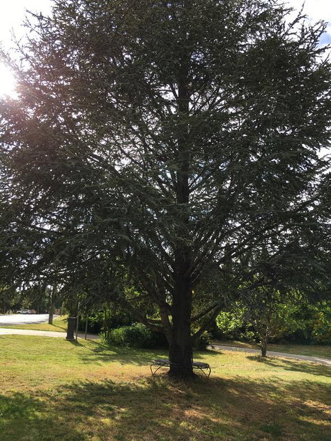 The Glasshouse Boutique Accommodation - Tourism Search 3