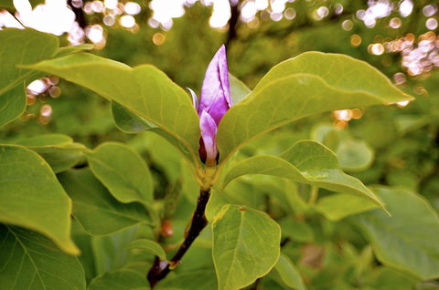 The Glasshouse Boutique Accommodation - Tourism Search 2