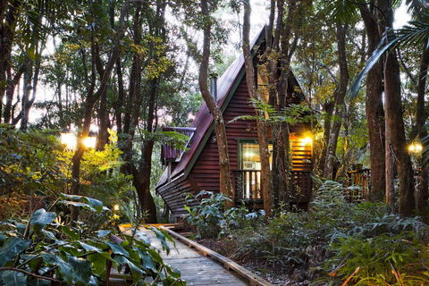 The Mouses House Rainforest Retreat - Tourism Search 1