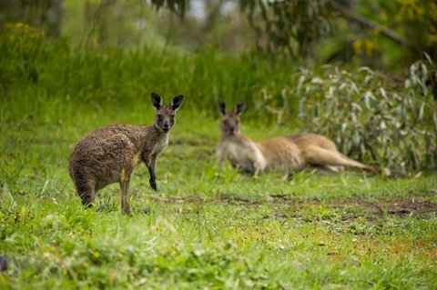The Stirling Golf Club - Tourism Search 2