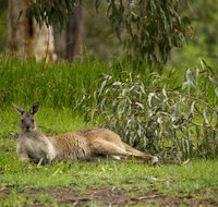 The Stirling Golf Club - Tourism Search