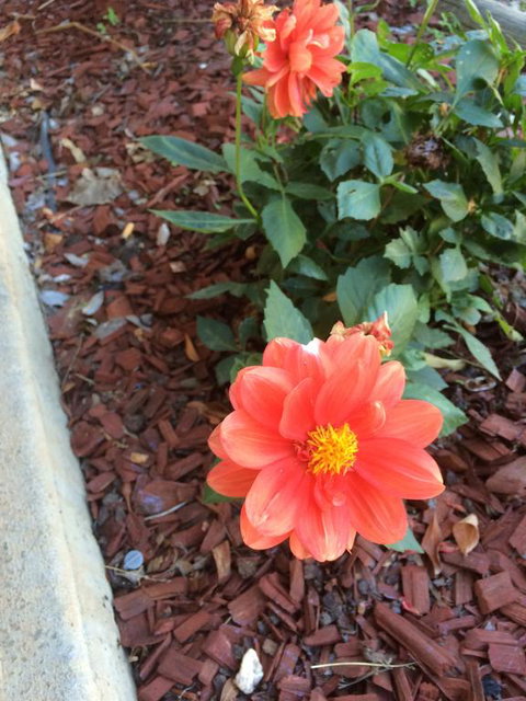 Tumut Valley Motel - Tourism Search 1