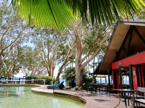 Turtle Cove Beach Resort - Adults Only LGBTQIA & Allies - Tourism Search 0