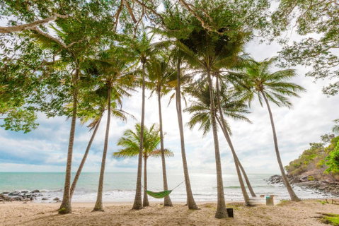 Turtle Cove Beach Resort - Adults Only LGBTQIA & Allies - Tourism Search 3