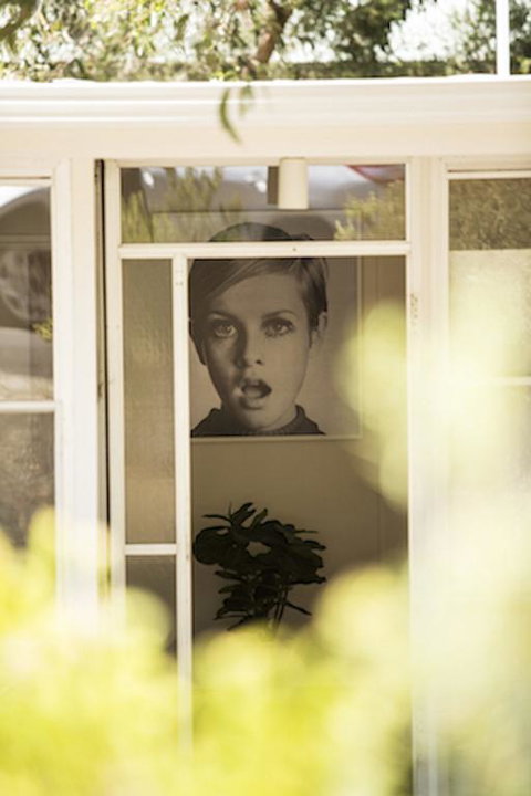 Twiggy @ Anglesea - Tourism Search 3