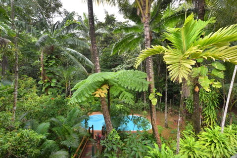 Wait A While Daintree - Tourism Search 3