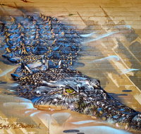 Walkabout Lodge - Tourism Search