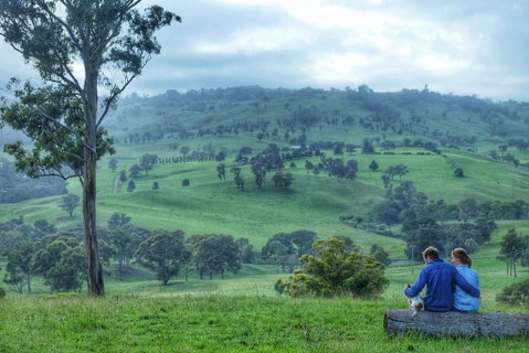Waterfall Way Farmstay - Tourism Search 2
