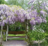 Amelina Cottages - Tourism Search