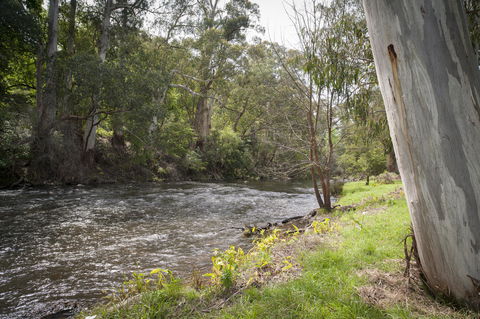 Oscar\'s On The Yarra - Tourism Search 23