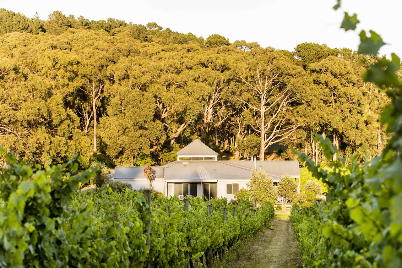 Red Hill VIC Tourism Search