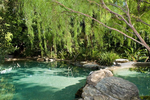 Thala Beach Nature Reserve - Tourism Search 30