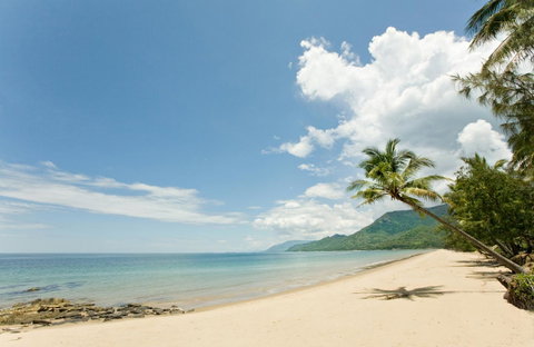 Thala Beach Nature Reserve - Tourism Search 34
