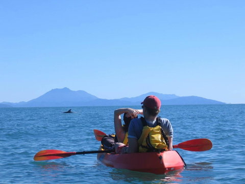 Thala Beach Nature Reserve - Tourism Search 44