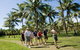 Thala Beach Nature Reserve - thumb 42