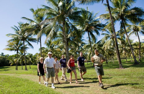 Thala Beach Nature Reserve - Tourism Search 42
