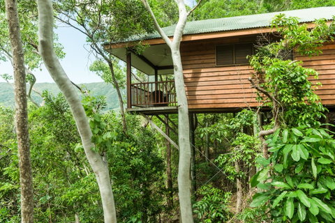 Thala Beach Nature Reserve - Tourism Search 17