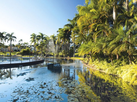 Oaks Sunshine Coast Oasis Resort - Tourism Search 13