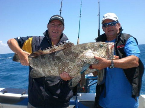 Whitsunday Sands Resort - Tourism Search 38