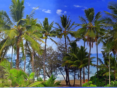 By The Sea Port Douglas - Tourism Search 3