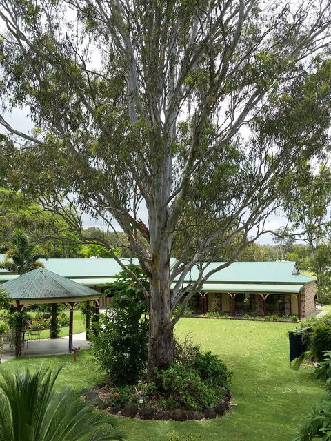 The Bearded Dragon Boutique Hotel - Tourism Search 32