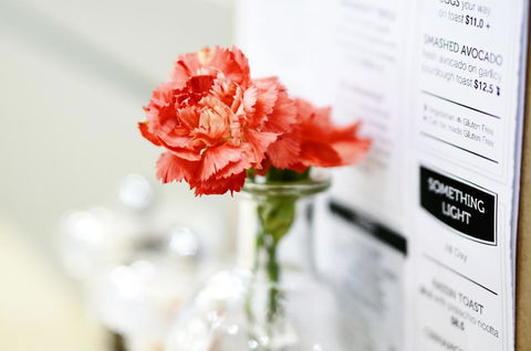 Madison Plaza Townsville - Tourism Search 20