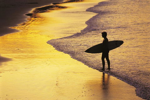 At The Sound Noosa Motel - Tourism Search 16
