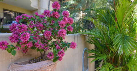 Villa San Michele (Official) - Tourism Search 4