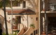 Villa San Michele (Official) - thumb 30