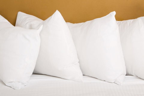 Emerald Central Hotel Official - Tourism Search 25