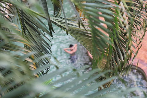 Coral Tree Inn - Tourism Search 36