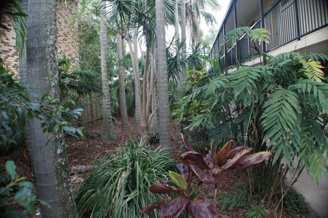 Best Western Airport 85 Motel - Tourism Search 34