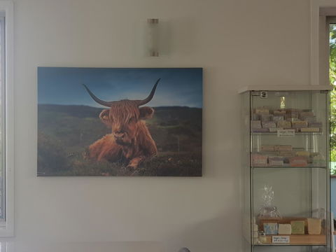 Highland House - Tourism Search 4