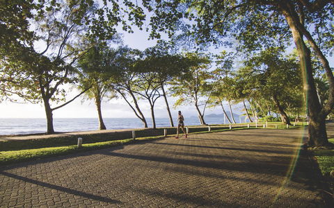Hides Hotel - Tourism Search 39