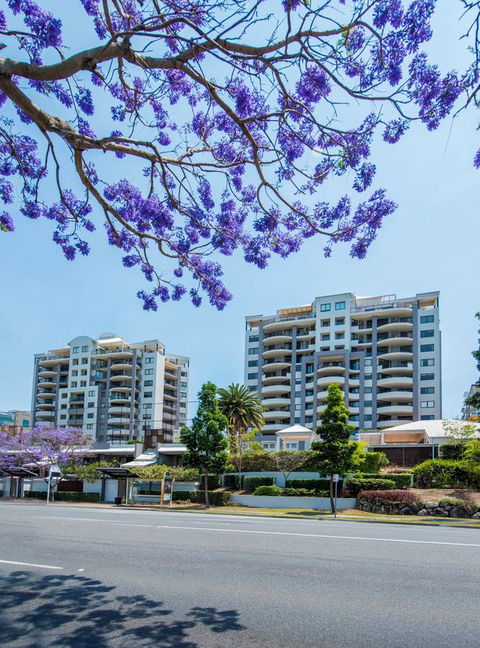 The Oasis Apartments - Tourism Search 2