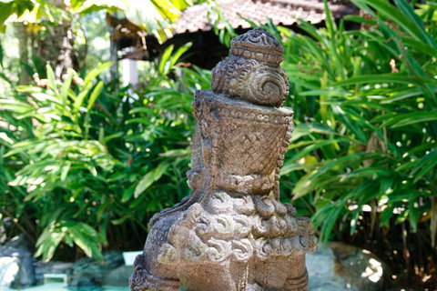 Hibiscus Resort & Spa - Official Onsite Reception & Check In - Tourism Search 30