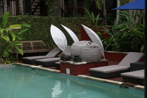 Hibiscus Resort & Spa - Official Onsite Reception & Check In - Tourism Search 26