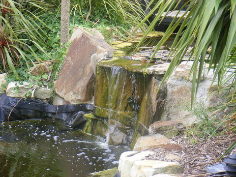 Weeroona Bed And Breakfast - Tourism Search 2