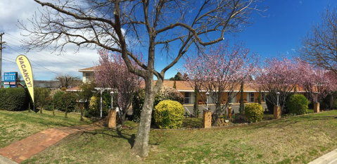 White Lanterns Motel - Tourism Search 3