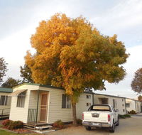 Wodonga Caravan  Cabin Park - Tourism Search
