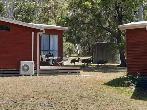 Wonderland Cottages - Tourism Search 3