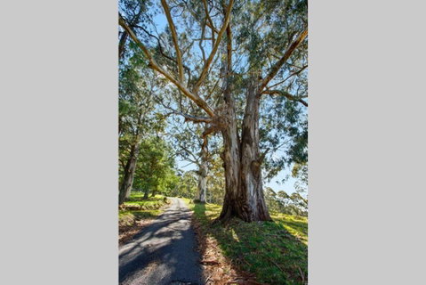 WOOLWAY - Tourism Search 1