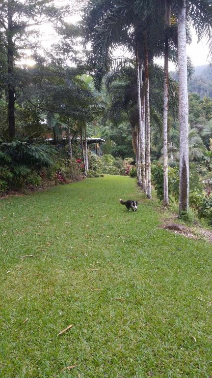 A Daintree Garden - Tourism Search 1