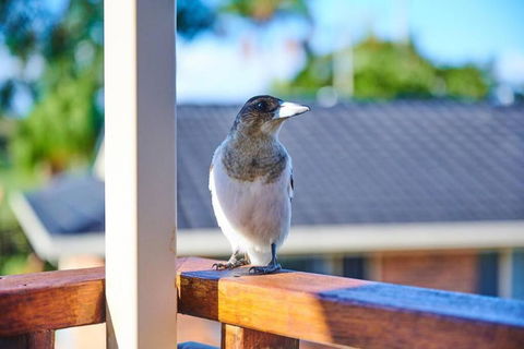A Kids Dream & Paradise For Parents - Tourism Search 2