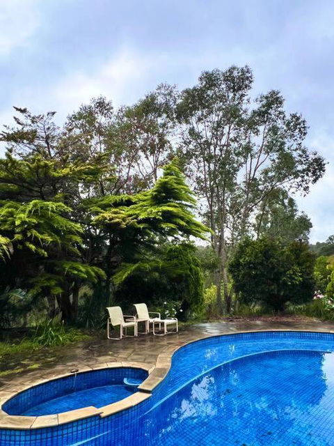 A Lovely Pool House In Forest - Tourism Search 2