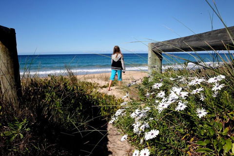 Absolute Beachfront Mollymook - Tourism Search 4