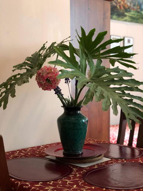 Albany Foreshore Guest House - Tourism Search 2