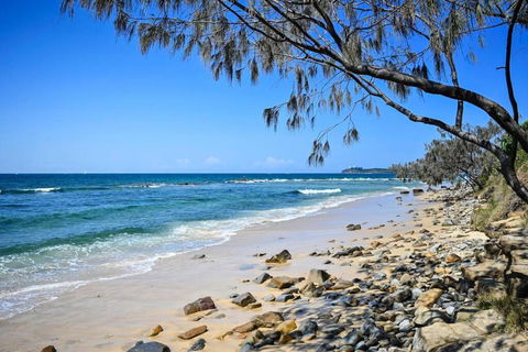Alex Heads, Prime Location, Stunning Views - Tourism Search 2
