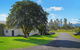 Almare 7 Gowing Street - thumb 1