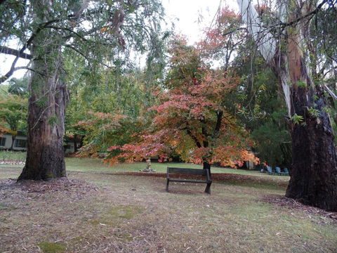 Alpine Riverside Cottages - Tourism Search 4